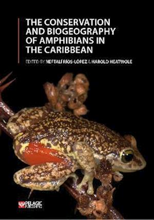 Conservation and Biogeography of Amphibians in the Caribbean