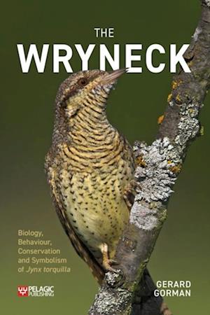 Wryneck