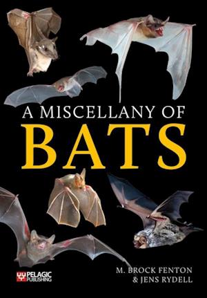 Miscellany of Bats