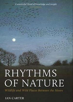 Rhythms of Nature