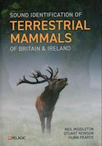 Sound Identification of Terrestrial Mammals of Britain & Ireland