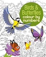 Birds & Butterflies Colour by Numbers