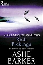 A Richness of Swallows