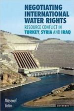 Negotiating International Water Rights