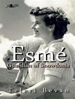 Esme - Guardian of Snowdonia