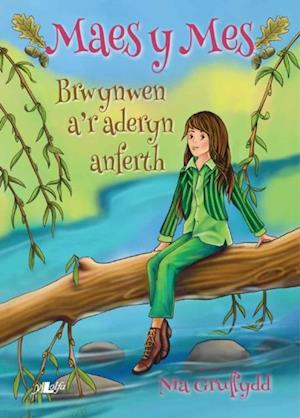 Cyfres Maes y Mes: Brwynwen a''r Aderyn Anferth