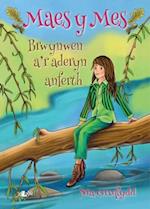 Cyfres Maes y Mes: Brwynwen a''r Aderyn Anferth