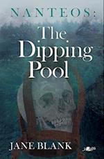 Nanteos: The Dipping Pool