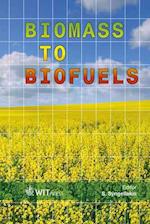 Biomass to Biofuels 