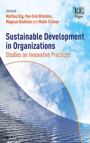 Sustainable Development in Organizations