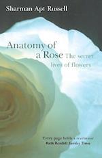Anatomy Of A Rose