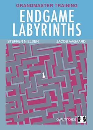 Endgame Labyrinths