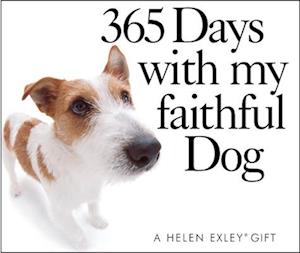 365 Days with My Faithful Dog