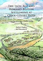 The Iron Age and Romano-British Settlement at Crick Covert Farm