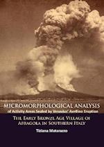 Micromorphological Analysis of Activity Areas Sealed by Vesuvius' Avellino Eruption