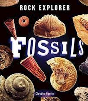 Rock Explorer: Fossils