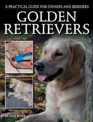 Golden Retrievers