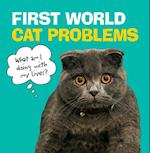First World Cat Problems