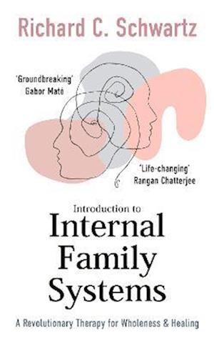 Introduction to Internal Family Systems