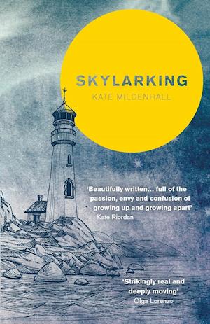 Skylarking