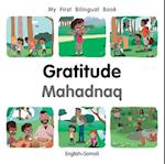 My First Bilingual BookGratitude (EnglishSomali)