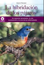 La hibridación de los pájaros