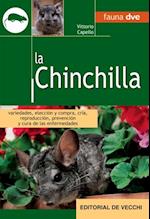 La Chinchilla