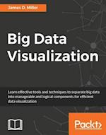 Big Data Visualization