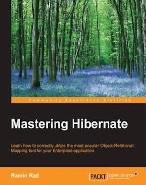 Mastering Hibernate