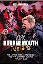Bournemouth, the Fall and Rise
