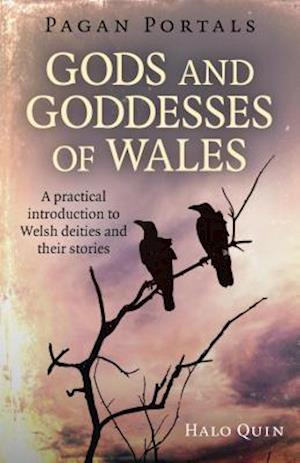 Pagan Portals - Gods and Goddesses of Wales