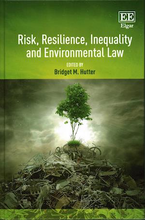 Risk, Resilience, Inequality and Environmental Law
