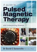 Guide to Pulsed Magnetic Therapy