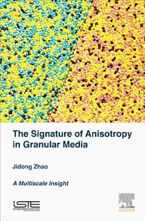 The Signature of Anisotropy in Granular Media