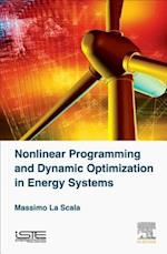 Non Linear Programming and Dynamic Optimization in Energy Systems