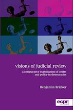 Visions of Judicial Review