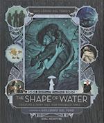 Guillermo del Toro's The Shape of Water: Creating a Fairy Tale for Troubled Times