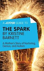 Joosr Guide to... The Spark by Kristine Barnett