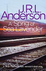 Sprig of Sea Lavender