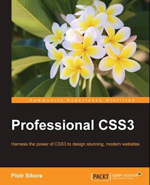 Professional CSS3