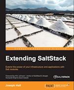 Extending SaltStack