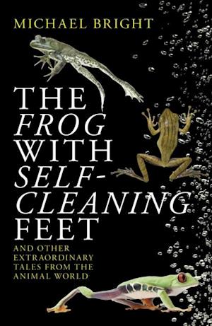 Frog with Self-Cleaning Feet