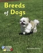 Breeds of Dogs