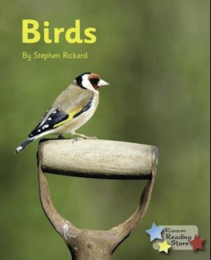 Birds (Ebook)