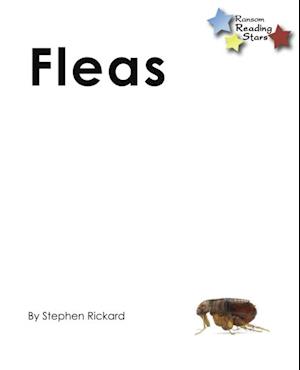 Fleas