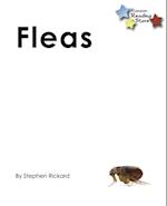 Fleas