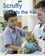 Scruffy Goes to the Vet