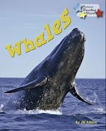 Whales