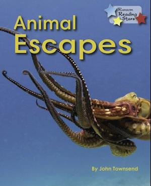 Animal Escapes