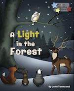 Light in the Forest (Ebook)